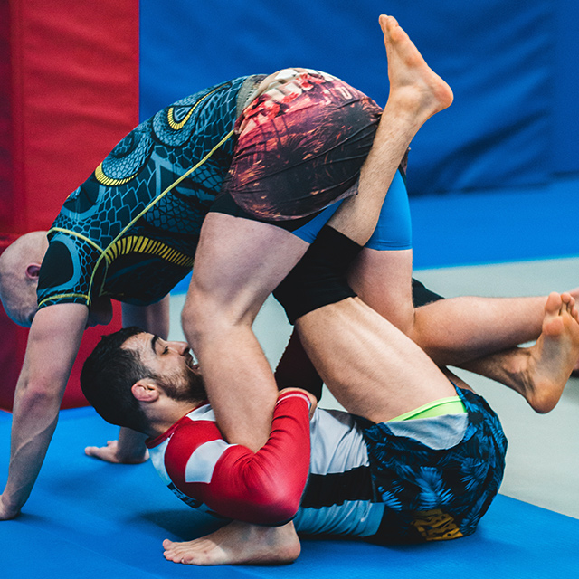 The physical benefits of martial arts training